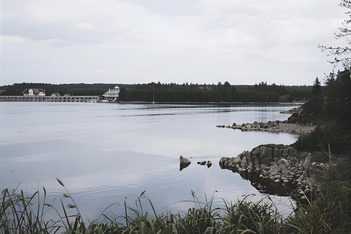 Scandinavian Delights